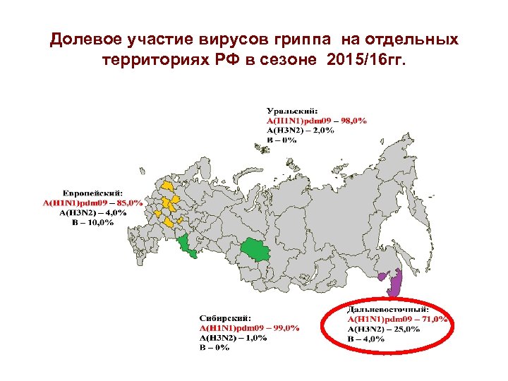 Долевое участие вирусов гриппа на отдельных территориях РФ в сезоне 2015/16 гг. 