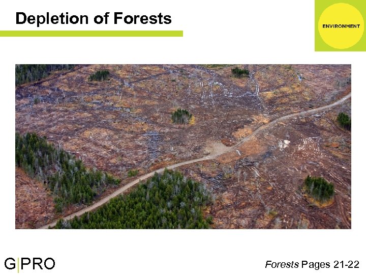 Depletion of Forests G|PRO Forests Pages 21 -22 