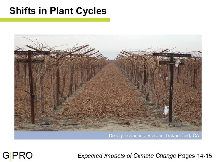 Shifts in Plant Cycles Drought causes dry crops, Bakersfield, CA G|PRO Expected Impacts of