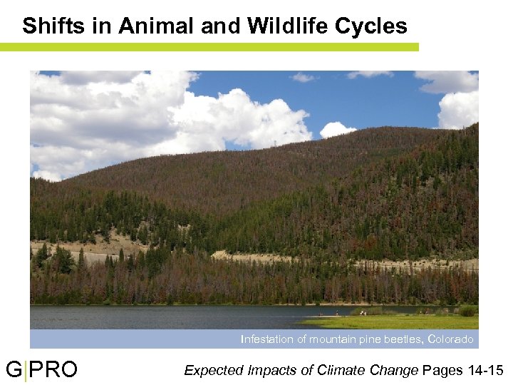 Shifts in Animal and Wildlife Cycles Infestation of mountain pine beetles, Colorado G|PRO Expected