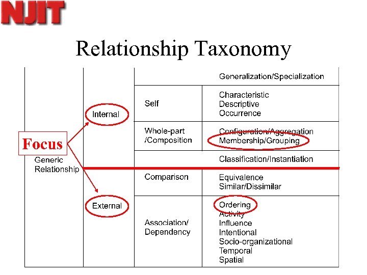 Relationship Taxonomy Focus 