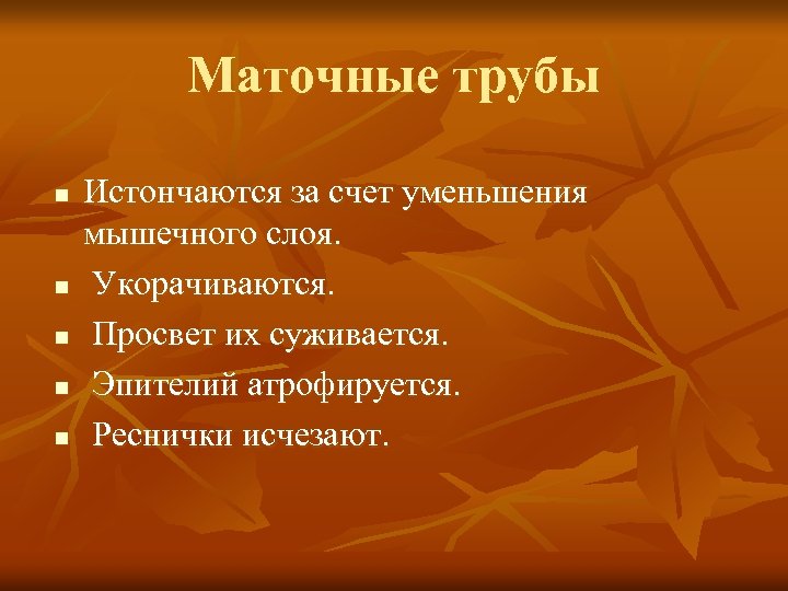 Маточные трубы n n n Истончаются за счет уменьшения мышечного слоя. Укорачиваются. Просвет их