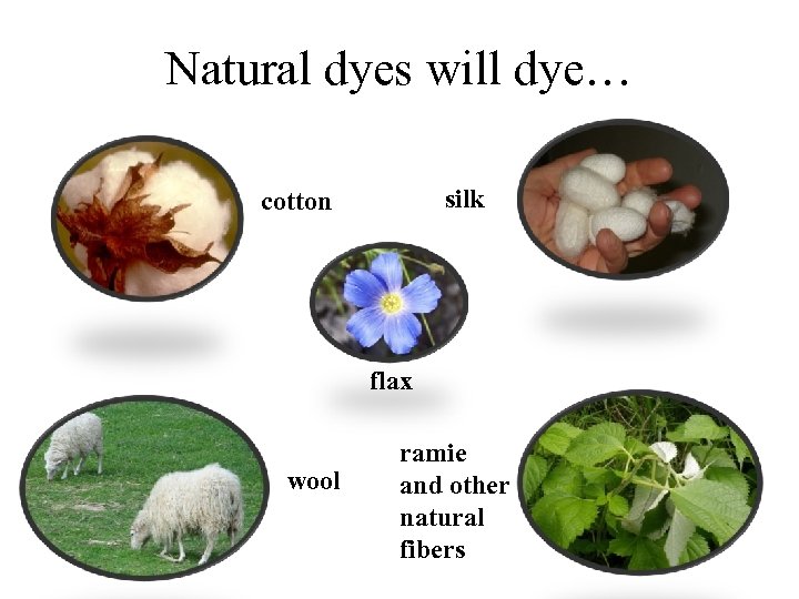 Natural dyes will dye… silk cotton flax wool ramie and other natural fibers 