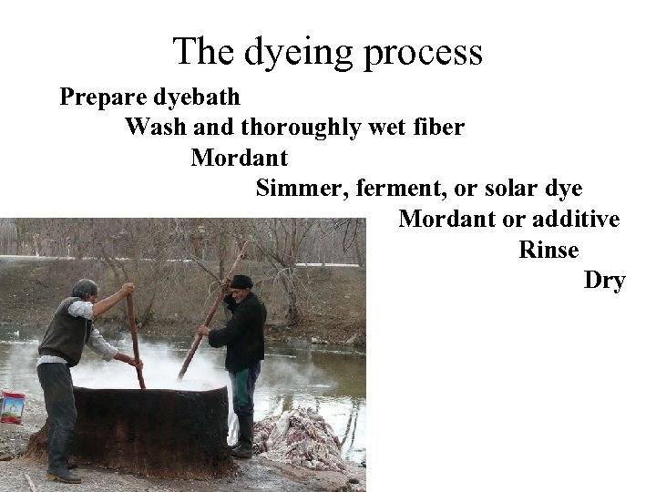 The dyeing process Prepare dyebath Wash and thoroughly wet fiber Mordant Simmer, ferment, or