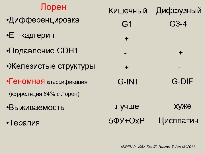 Лорен Кишечный Диффузный G 1 G 3 -4 • Е - кадгерин + -