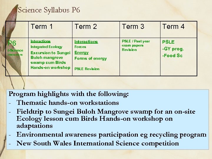 Science Syllabus P 6 Term 1 Term 2 Term 3 Term 4 P 6