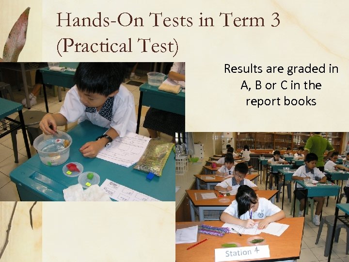 Hands-On Tests in Term 3 (Practical Test) Results are graded in A, B or