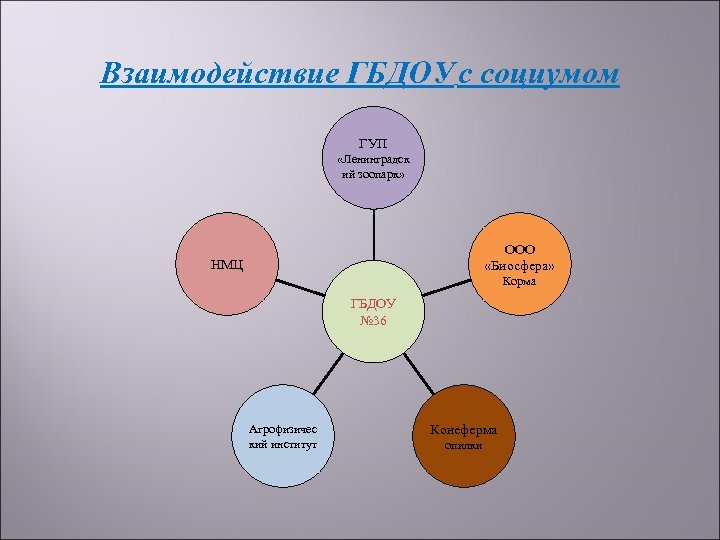 Взаимодействие ГБДОУ с социумом ГУП «Ленинградск ий зоопарк» ООО «Биосфера» НМЦ Корма ГБДОУ №