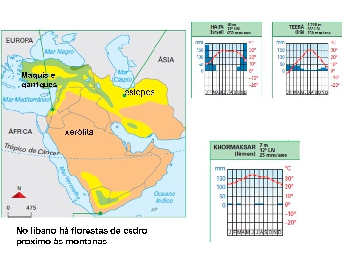 Maquis e garrigues estepes xerófita No libano há florestas de cedro proximo às montanas