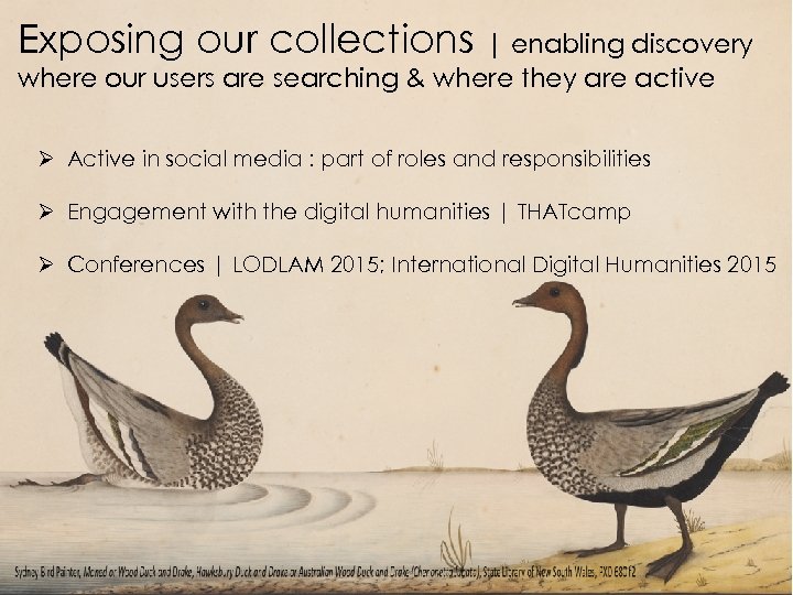 Exposing our collections | enabling discovery where our users are searching & where they