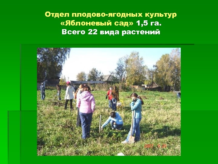 Отдел плодово-ягодных культур «Яблоневый сад» 1, 5 га. Всего 22 вида растений 
