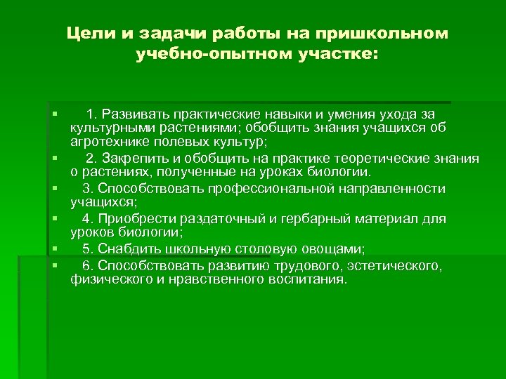 План работы пришкольного участка