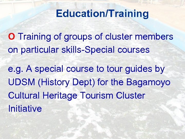 Education/Training O Training of groups of cluster members on particular skills-Special courses e. g.