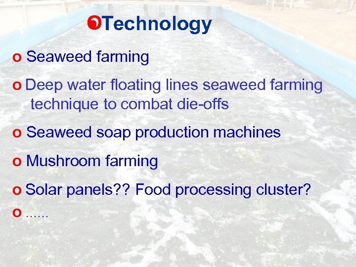 OTechnology O Seaweed farming O Deep water floating lines seaweed farming technique to combat