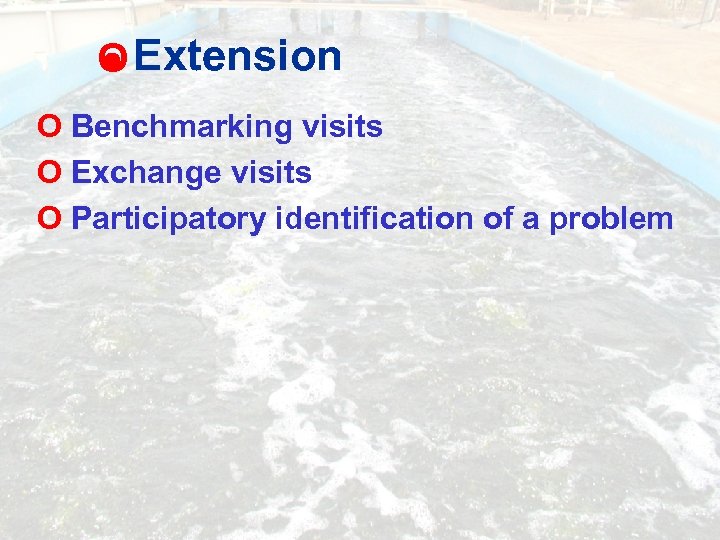 O Extension O Benchmarking visits O Exchange visits O Participatory identification of a problem