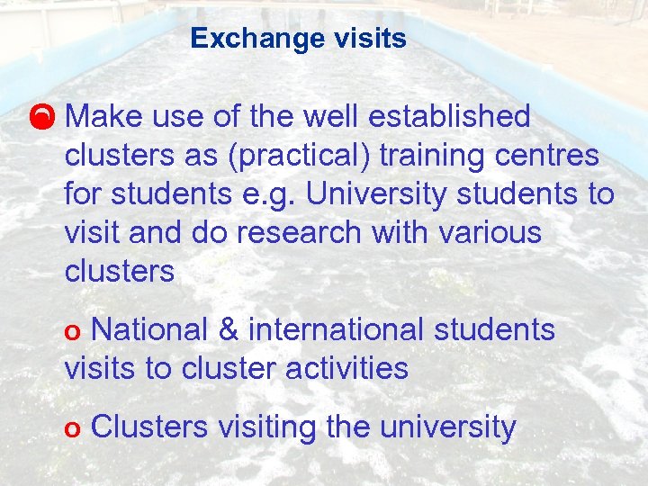 Exchange visits O Make use of the well established clusters as (practical) training centres
