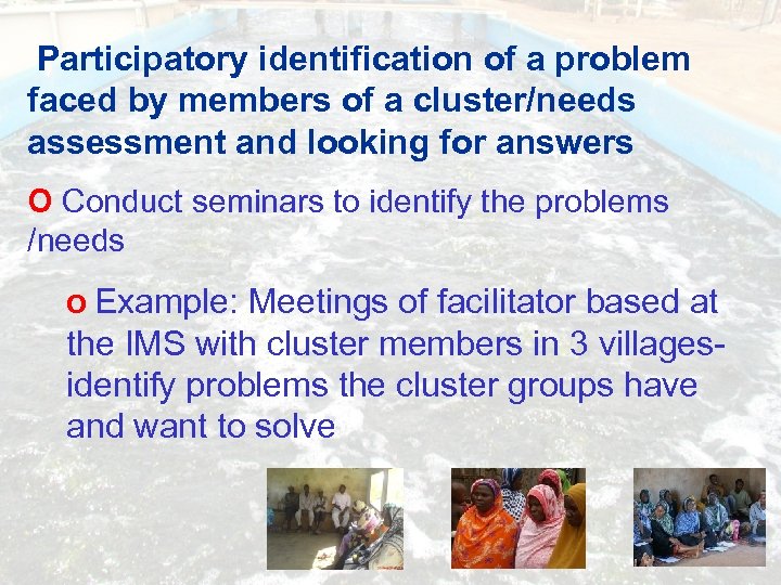 Participatory identification of a problem faced by members of a cluster/needs assessment and looking