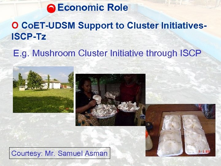 O Economic Role O Co. ET-UDSM Support to Cluster Initiatives. ISCP-Tz E. g. Mushroom