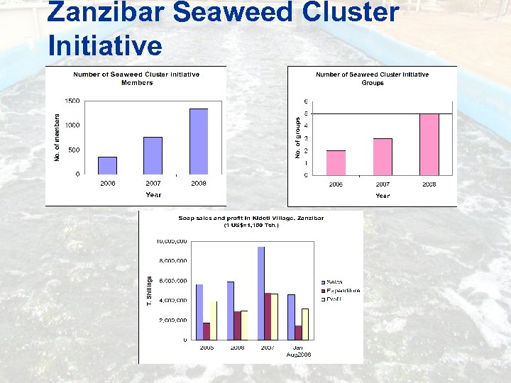 Zanzibar Seaweed Cluster Initiative 