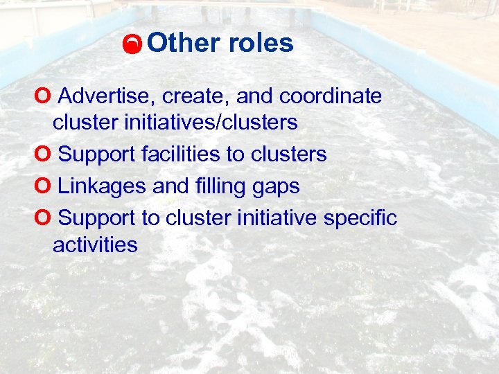 O Other roles O Advertise, create, and coordinate cluster initiatives/clusters O Support facilities to