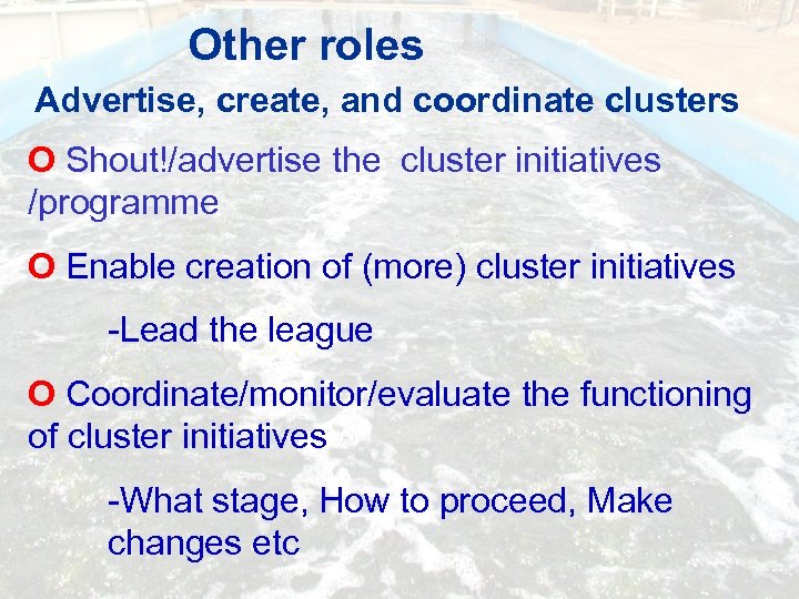 Other roles Advertise, create, and coordinate clusters O Shout!/advertise the cluster initiatives /programme O