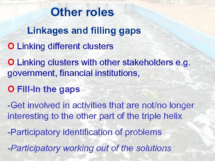 Other roles Linkages and filling gaps O Linking different clusters O Linking clusters with