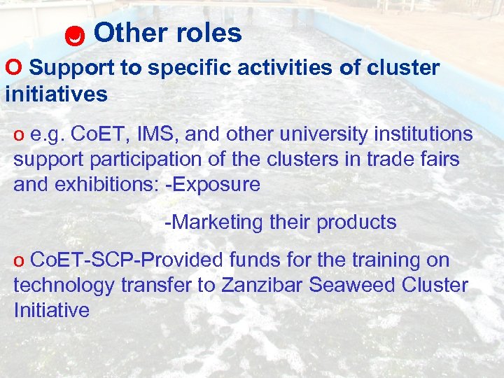  O Other roles O Support to specific activities of cluster initiatives e. g.