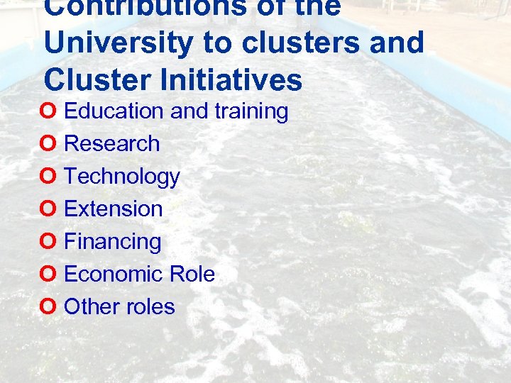Contributions of the University to clusters and Cluster Initiatives O Education and training O