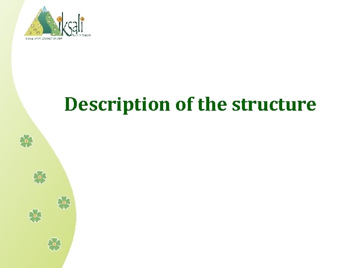 Description of the structure 