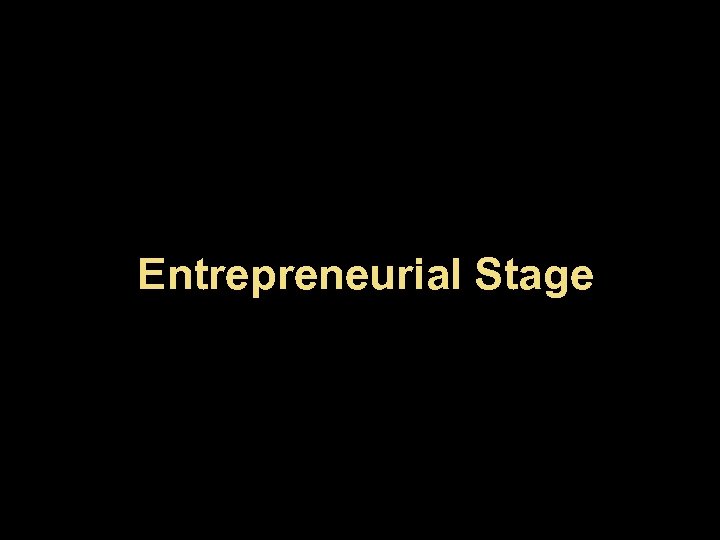 Entrepreneurial Stage 