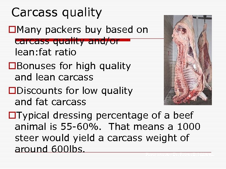 Carcass quality o. Many packers buy based on carcass quality and/or lean: fat ratio