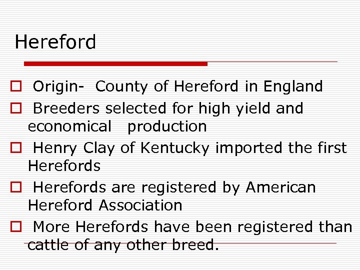 Hereford o Origin- County of Hereford in England o Breeders selected for high yield