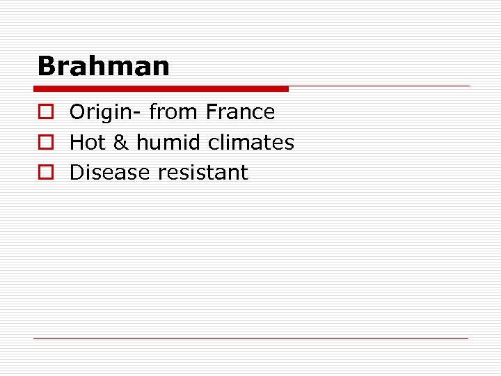 Brahman o Origin- from France o Hot & humid climates o Disease resistant 