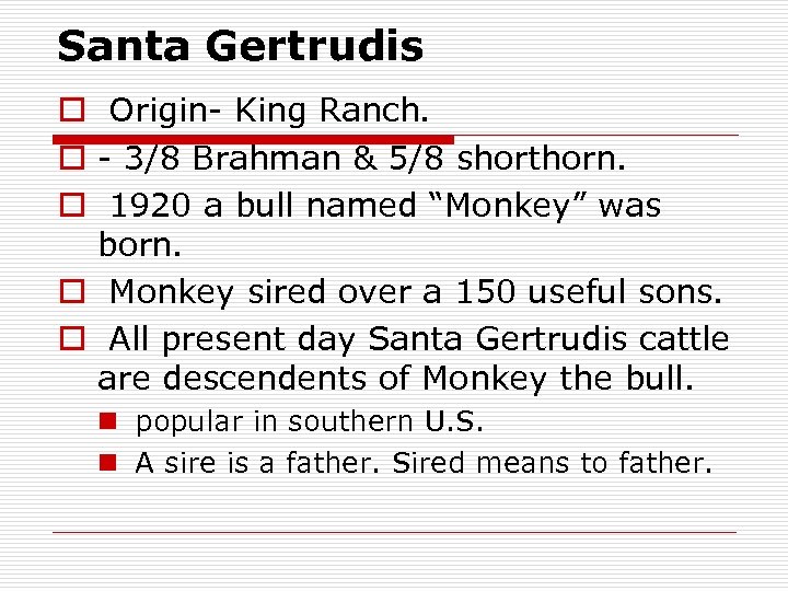 Santa Gertrudis o Origin- King Ranch. o - 3/8 Brahman & 5/8 shorthorn. o