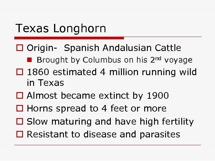 Texas Longhorn o Origin- Spanish Andalusian Cattle n Brought by Columbus on his 2