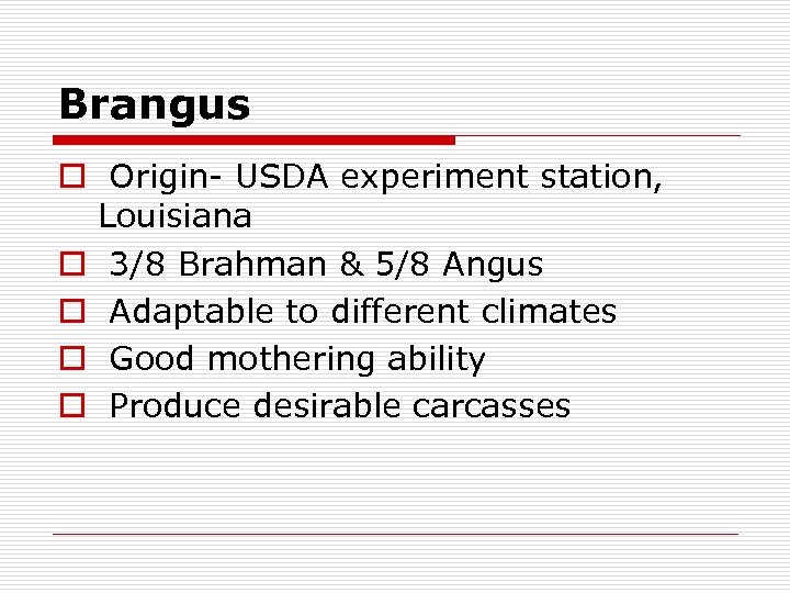 Brangus o Origin- USDA experiment station, Louisiana o 3/8 Brahman & 5/8 Angus o