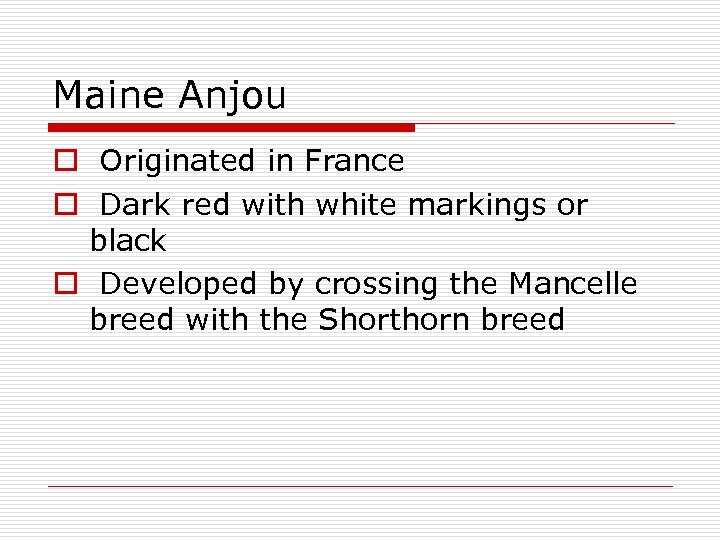 Maine Anjou o Originated in France o Dark red with white markings or black