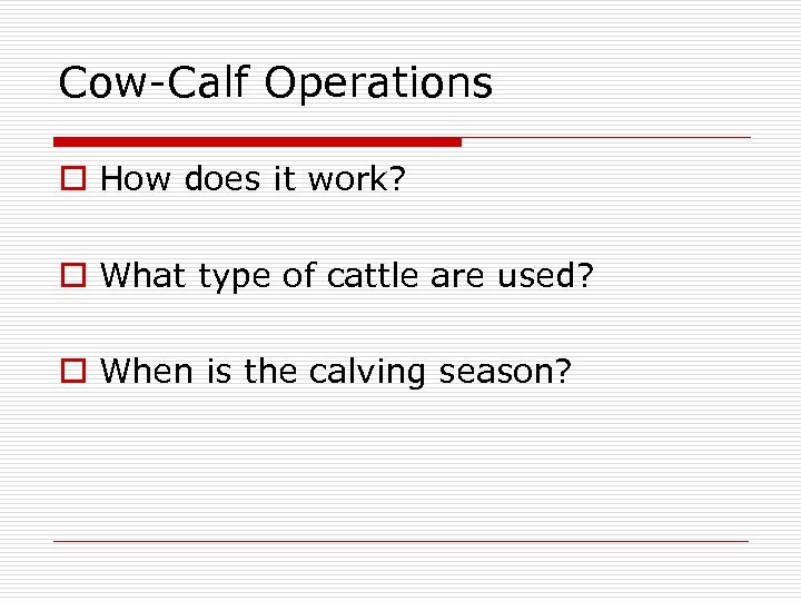 Cow-Calf Operations o How does it work? o What type of cattle are used?