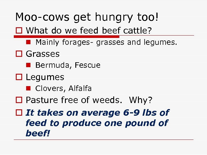 Moo-cows get hungry too! o What do we feed beef cattle? n Mainly forages-