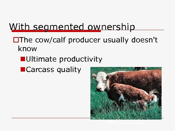 With segmented ownership o. The cow/calf producer usually doesn't know n. Ultimate productivity n.