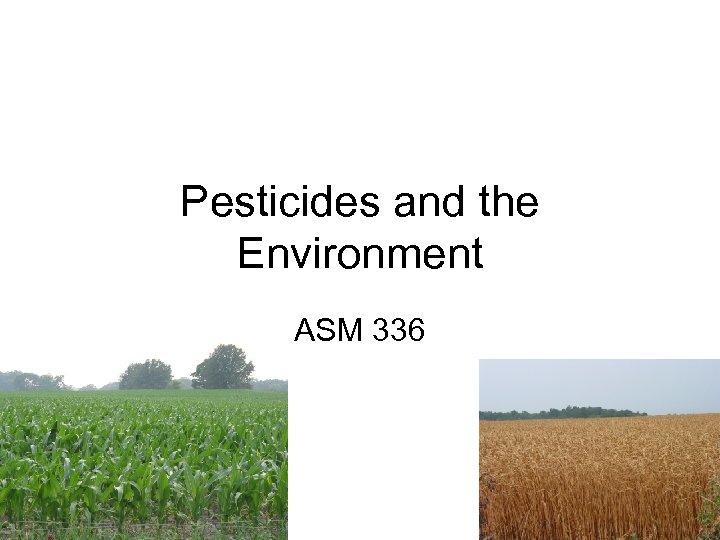 Pesticides and the Environment ASM 336 