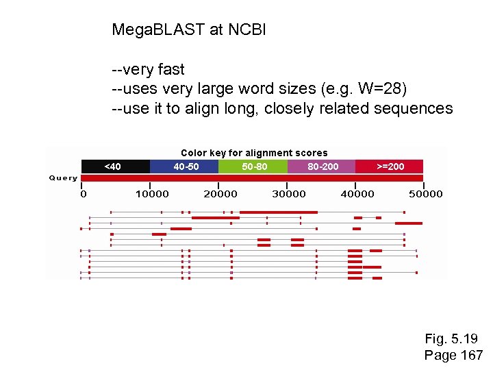 Mega. BLAST at NCBI --very fast --uses very large word sizes (e. g. W=28)