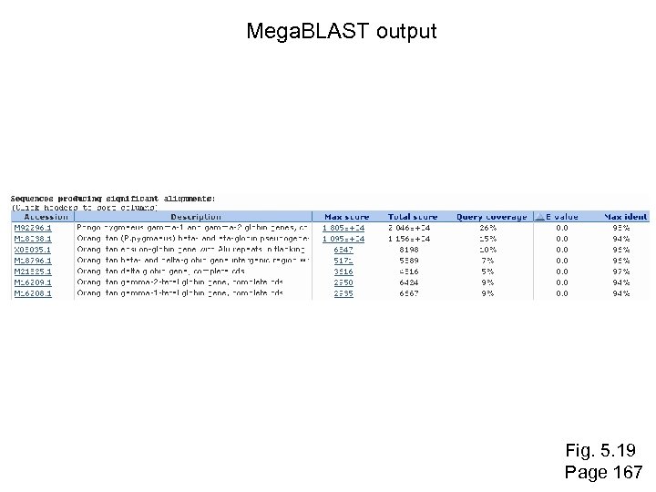 Mega. BLAST output Fig. 5. 19 Page 167 