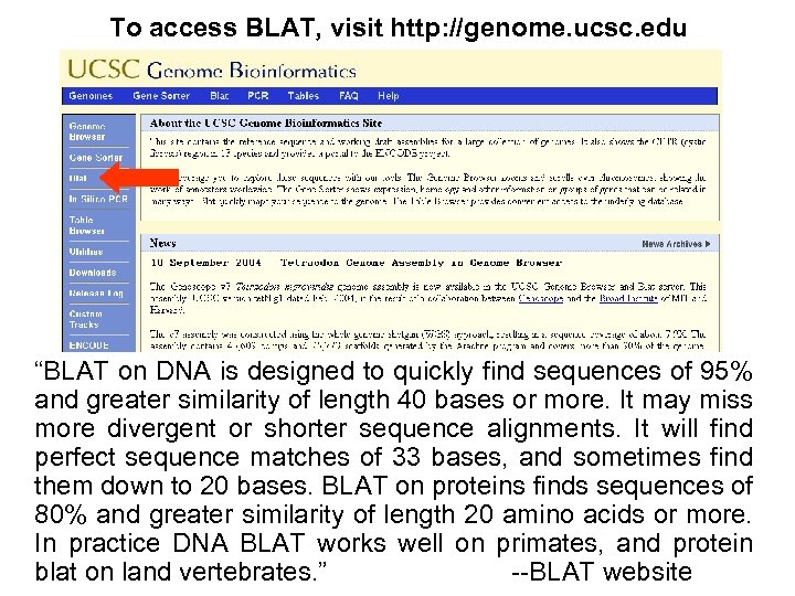 To access BLAT, visit http: //genome. ucsc. edu “BLAT on DNA is designed to