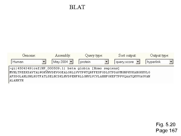 BLAT Fig. 5. 20 Page 167 