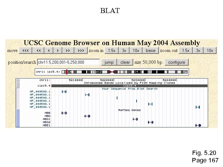 BLAT Fig. 5. 20 Page 167 