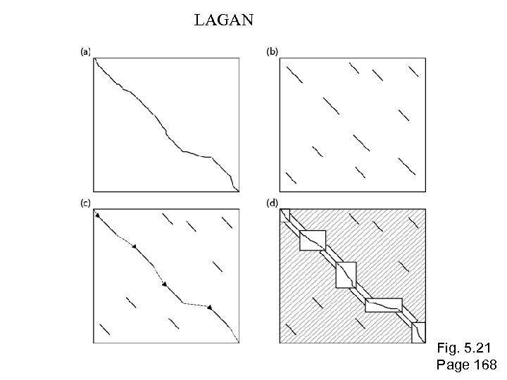 LAGAN Fig. 5. 21 Page 168 