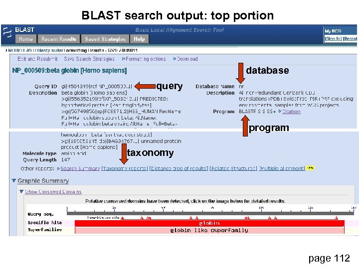 BLAST search output: top portion database query program taxonomy page 112 