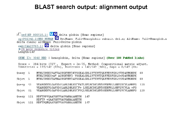 BLAST search output: alignment output 