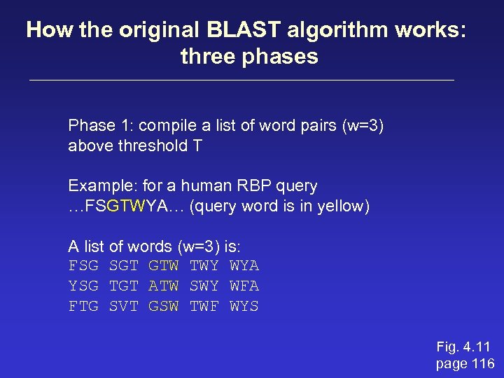 How the original BLAST algorithm works: three phases Phase 1: compile a list of